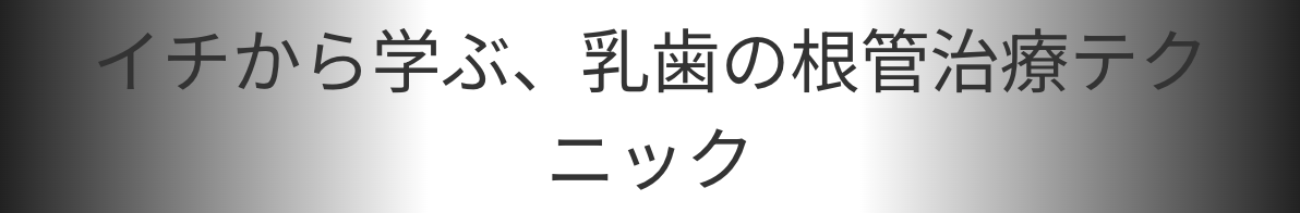 亀岡先生講演詳細
